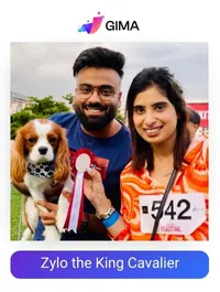 Zylo The King Cavalier